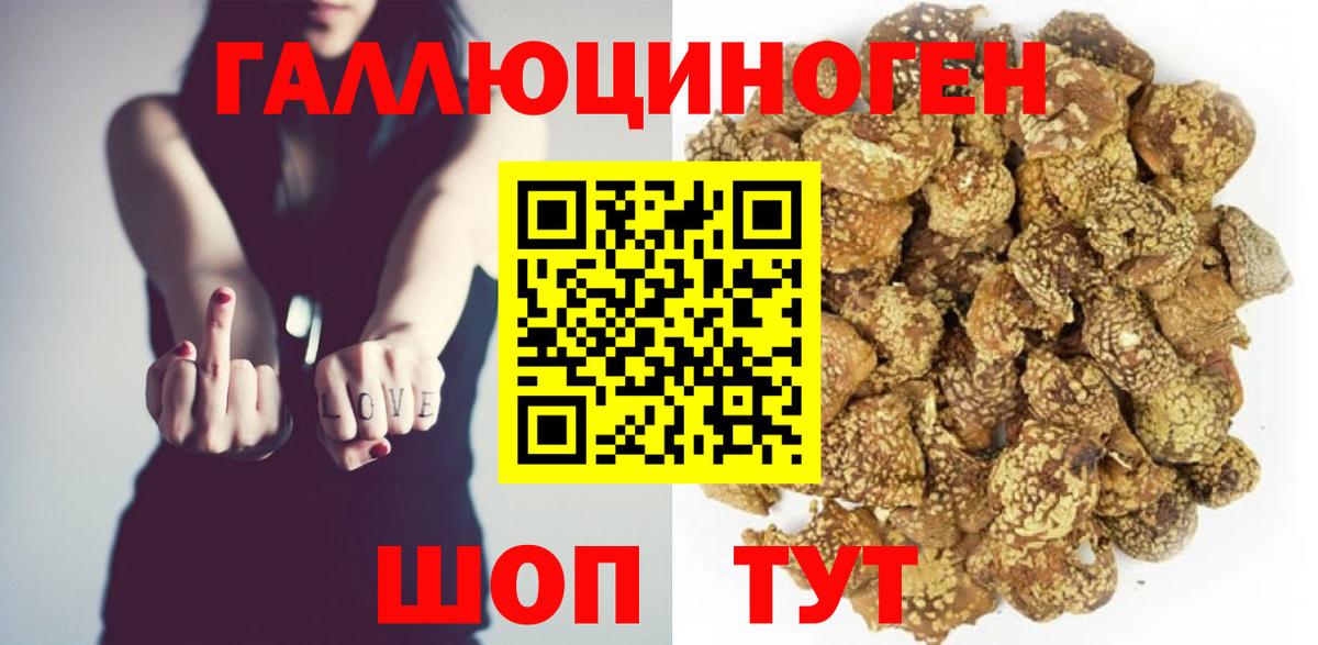 Псилоцибиновые грибы Psilocybine cubensis Тверь