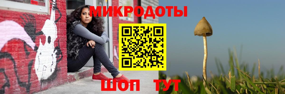 Галлюциногенные грибы MAGIC MUSHROOMS  Вход с VPN  как найти закладки  Тверь 